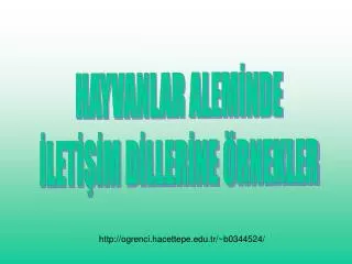 hayvanlar alem nde let m d ller ne rnekler