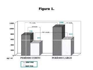 figura 1