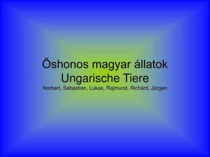 shonos magyar llatok ungarische tiere norbert sebastian lukas rajmund rich rd j rgen