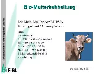 bio mutterkuhhaltung