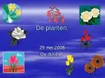 De planten. - slide 1