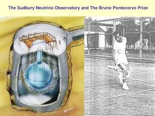 The Sudbury Neutrino Observatory and The Bruno Pontecorvo Prize