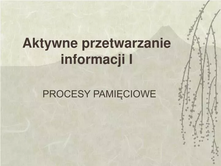 aktywne przetwarzanie informacji i