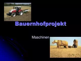 bauernhofprojekt