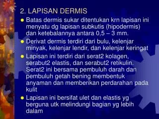 2 lapisan dermis