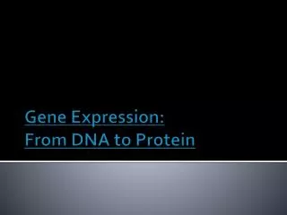 Gene Expression: From DNA to Protein