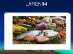 LARENIM - slide 1