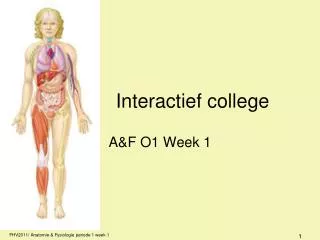 interactief college