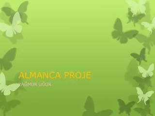 almanca proje