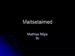 maitsetaimed