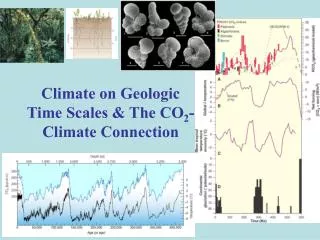 Climate on Geologic Time Scales &amp; The CO 2 -Climate Connection