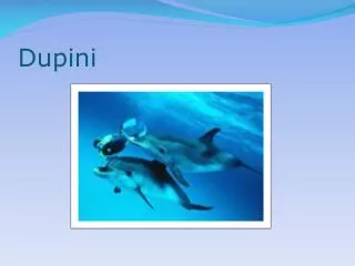 dupini
