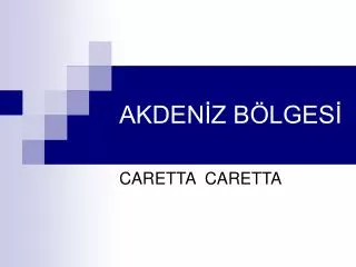 akden z b lges