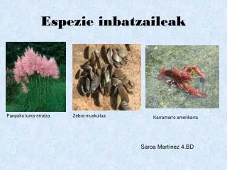 espezie inbatzaileak
