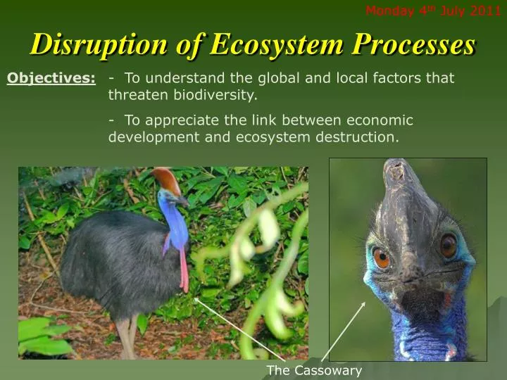disruption of ecosystem processes