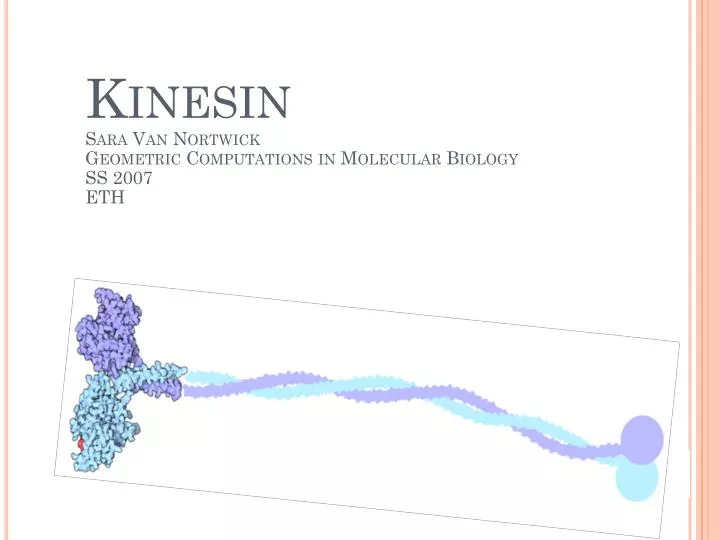 kinesin sara van nortwick geometric computations in molecular biology ss 2007 eth