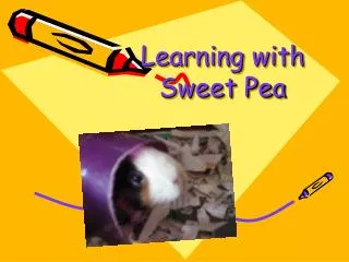 Learning with Sweet Pea