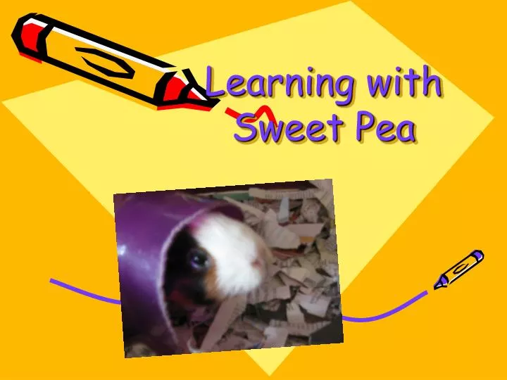 learning with sweet pea