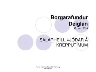 borgarafundur deiglan 15 jan 2010