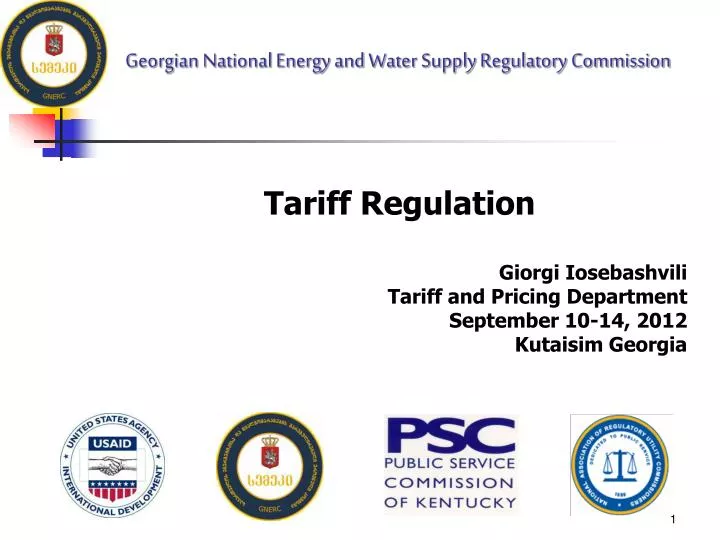 georgian national energy and water supply regulatory commission
