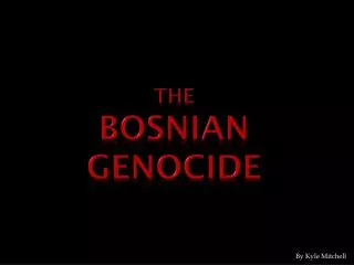 The Bosnian Genocide