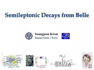 Semileptonic Decays from Belle