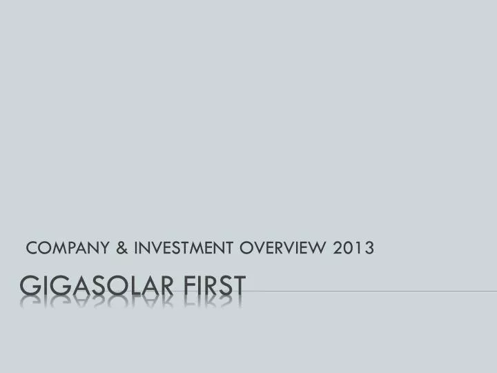 company investment overview 2013