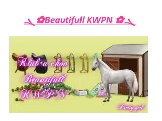 beautifull kwpn