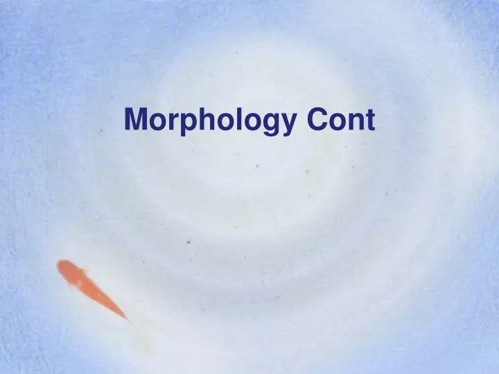 morphology cont