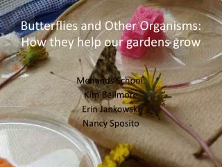 Butterflies and Other Organisms: How they help our gardens grow