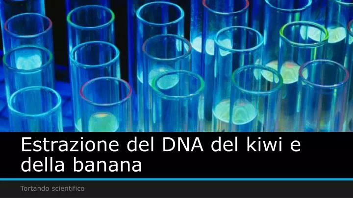 estrazione del dna del kiwi e della banana