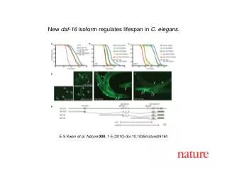 E-S Kwon et al. Nature 000 , 1-5 (2010) doi:10.1038/nature09184