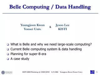 Belle Computing / Data Handling