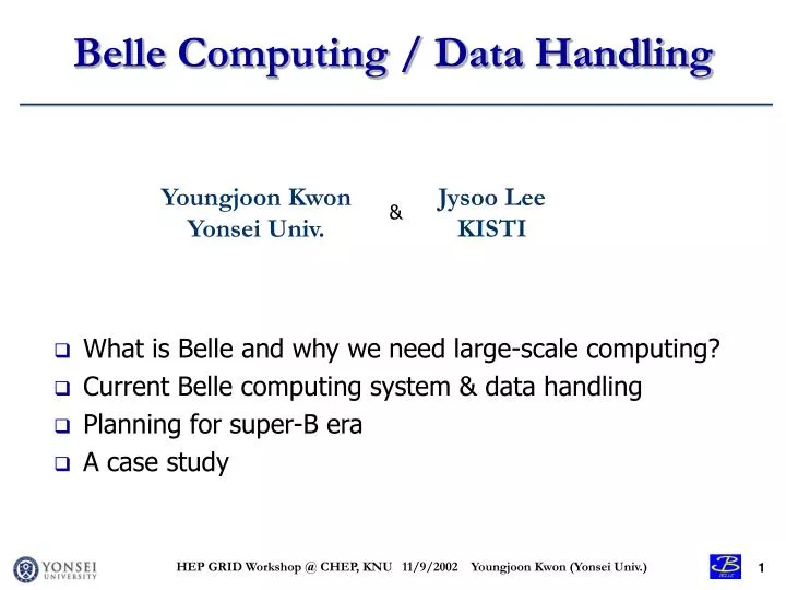 belle computing data handling