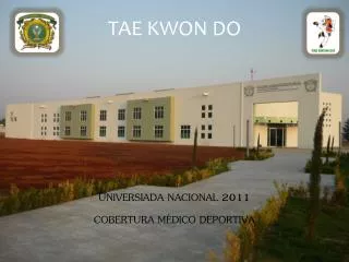 tae kwon do