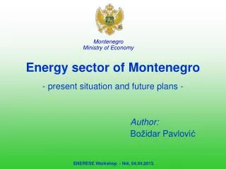 Energy sector of Montenegro - present situation and future plans -