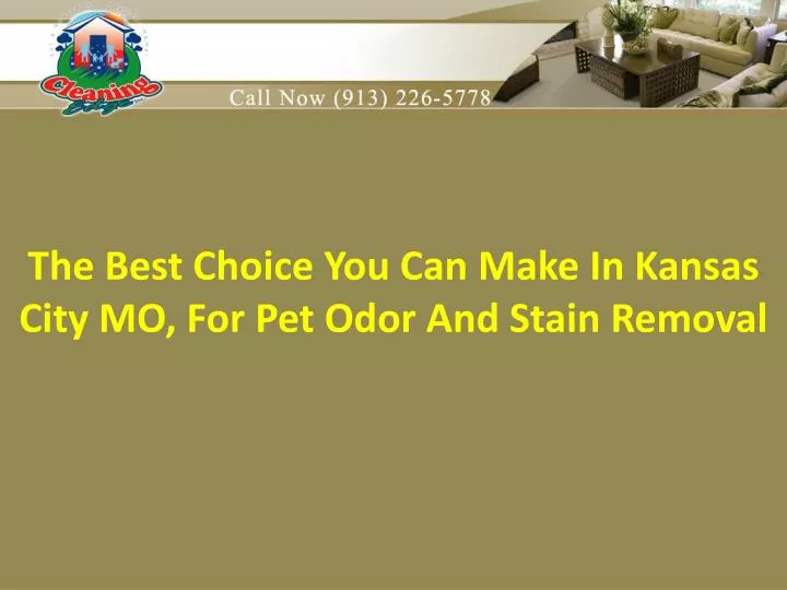 the best choice you can make i n kansas city mo for pet odor and stain removal