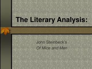 The Literary Analysis: