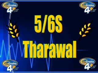 5/6S Tharawal