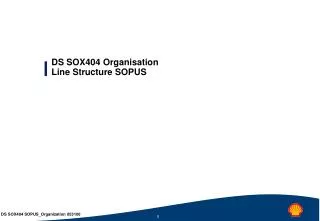 DS SOX404 Organisation Line Structure SOPUS