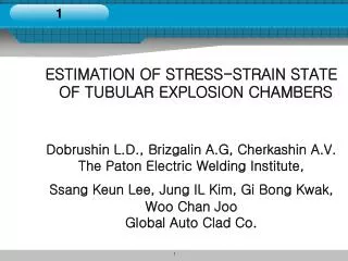 Dobrushin L.D., Brizgalin A.G, Cherkashin A.V. The Paton Electric Welding Institute,