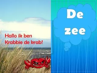 de zee