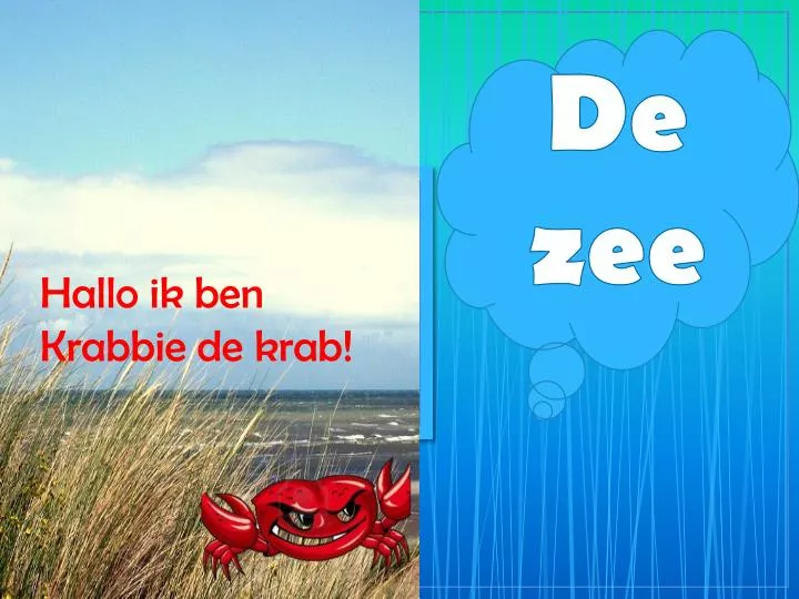 de zee