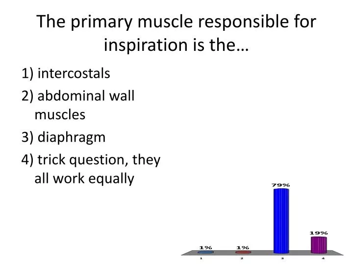 the primary muscle responsible for inspiration is the