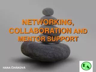 NETWORKING, COLLABORATION AND MENTOR SUPPORT