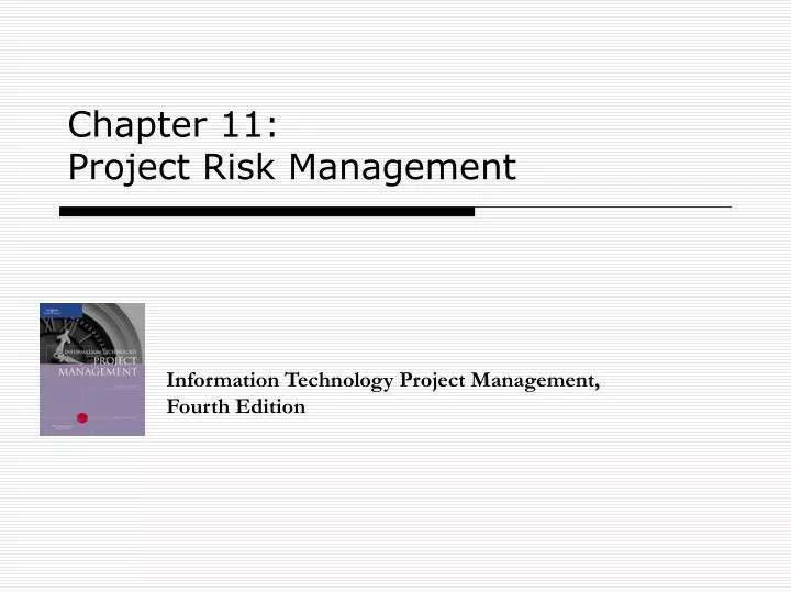 chapter 11 project risk management