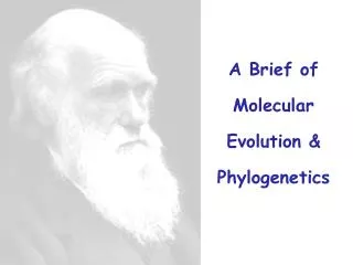 A Brief of Molecular Evolution &amp; Phylogenetics