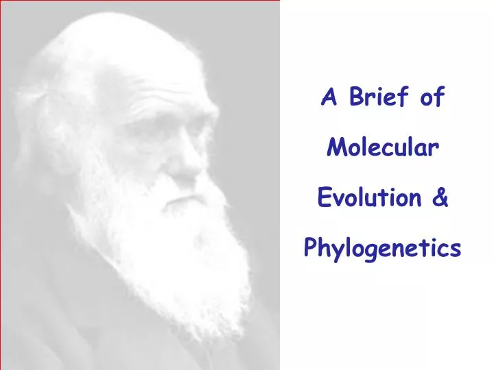 a brief of molecular evolution phylogenetics