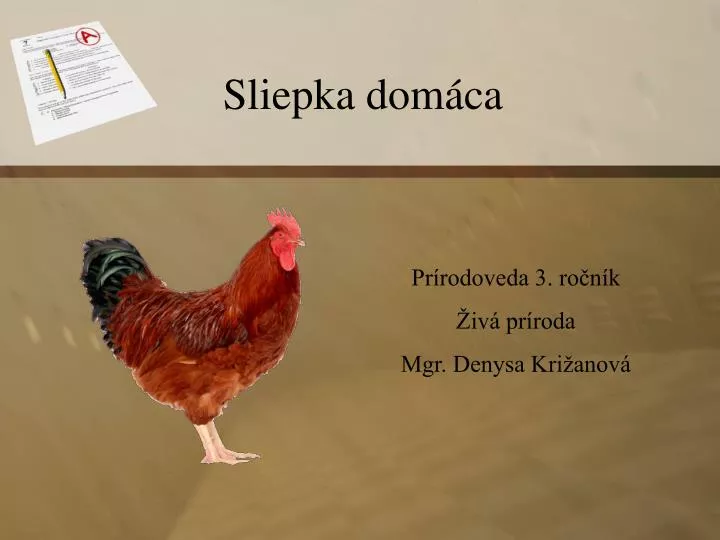 sliepka dom ca