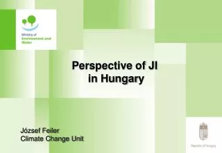 Perspective of JI in Hungar y